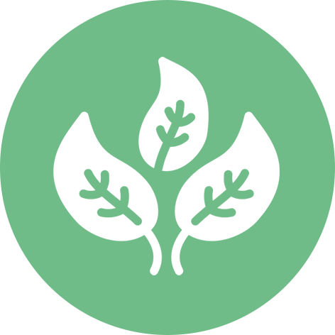 Nature-based creative learning